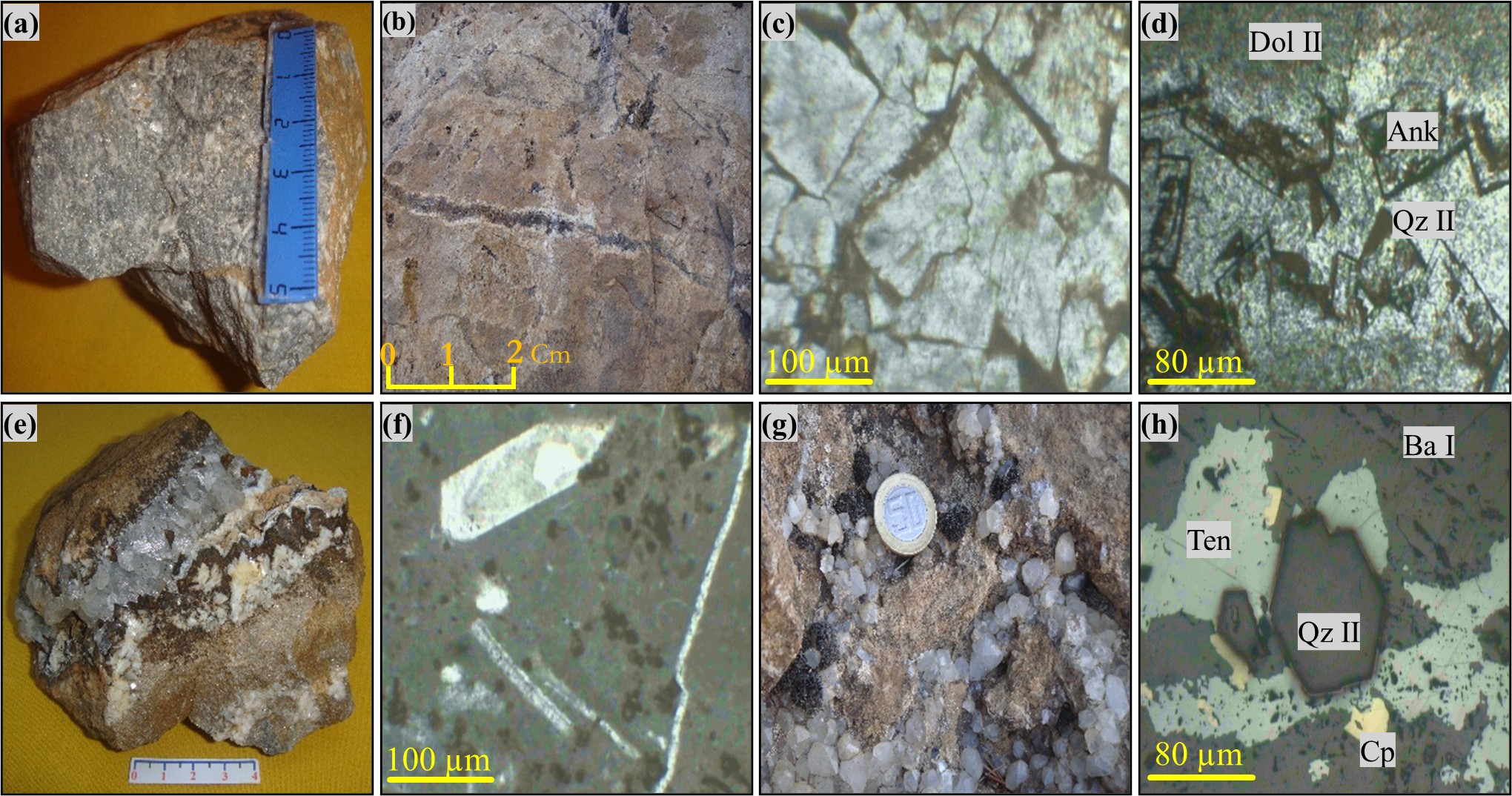 Figure 2. (a) Greyish crystalline dolomite, massive and partially silicified (El Hanou, F15) ; (b) Dolomitic Facies with dissolution pores distributed around microfractures and styloliths (Vein 1) ; (c) Automorphic-to-sub-automorphic ferruginised dolomite crystals. LM 8 Apt. (LPA X 4) ; (d) Zoned iron-bearing dolomite crystals with drusic structure (sheet cracks) in a dissolution cavity, Associated with Qz II. Ank : ankerite. LM F10/3 (LPAX4) ; (e) Palisadic quartz II grains associated with ankerite and baryte II (Vein 2) ; (f) Microphotograph showing an authigenic quartz grain (Qz I) in a calcareous matrix with bioclast debris. LM3 (LPAX4) ; (g) Automorphic to sub-automorphic quartz (II) crystals in a dolomite dissolution cavity ; (h) Tennantite and chalcopyrite corroding automorphic quartz (Qz II), on a barytic background (Ba I). Ten: tennantite; Cp: chalcopyrite. SP10. F3/2a. 10X05.