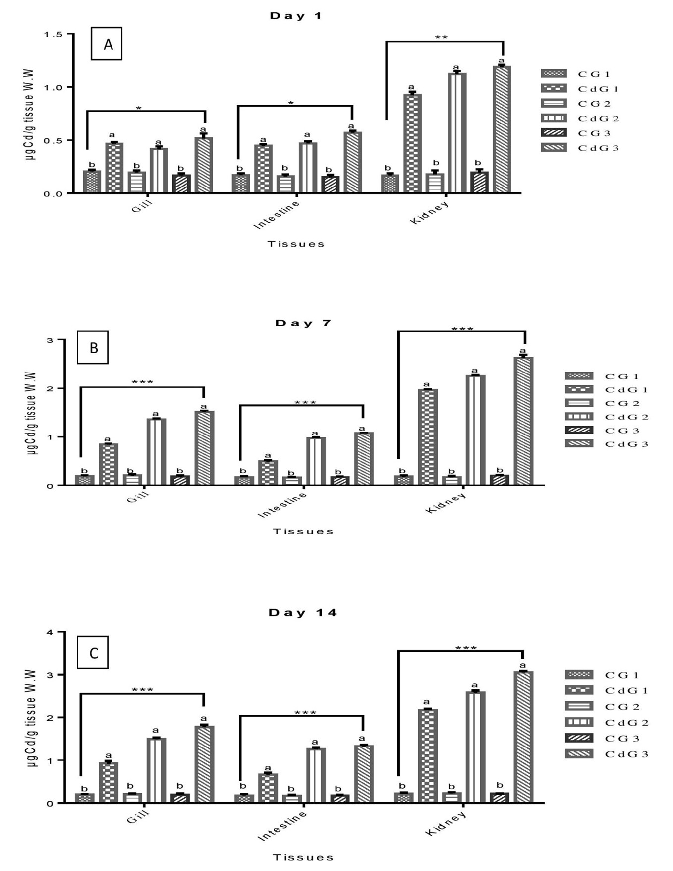 Figure 1. Changes in L. rohita tissues metal concentrations after exposure to Cd at different intervals. (A) Day 1 (B) Day 7 (C) Day 14.