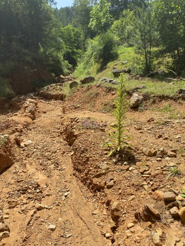 Figure 13. Field evidence of sediment accumulation, channel incision, and active erosion–mass movement processes in the Crnička Reka catchment.