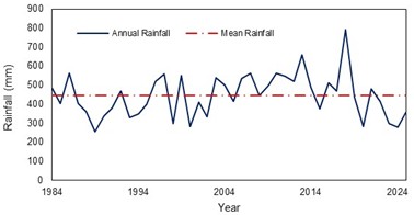 Figure 2. Annual rainfall of Ain Defla (NASA, 2026).